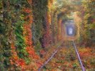 Tunnel der Liebe