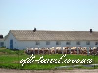 Voyage agricole en Ukraine (fermes lati&#232;res)